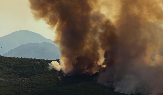 İspanya'daki yangınlarda 1 kişi öldü, 5 binden fazla kişi geceyi dışarıda geçirdi