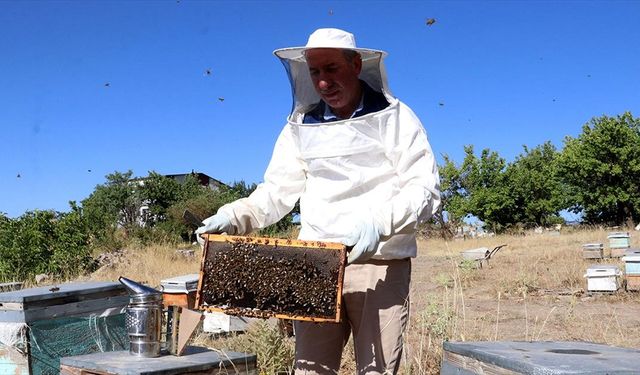 Mobilya işini bırakıp arıcılığa başladı, 25 yılda 400 kovana ulaştı