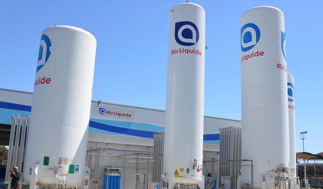 Putin, Fransız şirketi Air Liquide'in Rusya'daki varlıklarını yerel bir şirkete devretti
