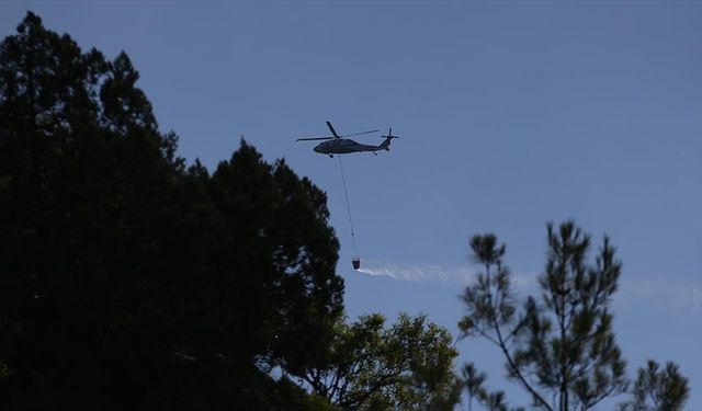 Sinop ve Denizli'de çıkan orman yangınlarına müdahale ediliyor