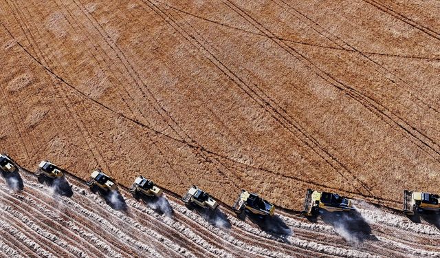 Tarımsal girdi fiyat endeksi haziranda yıllık yüzde 33,88, aylık yüzde 2,52 arttı