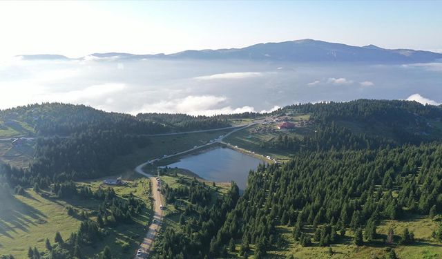 Trabzon'daki 'Haçka Yaylası' doğaseverlerin rotasında yer alıyor