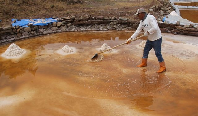 Ünlü şeflerin de tercih ettiği "altın tuz"da hasat zamanı