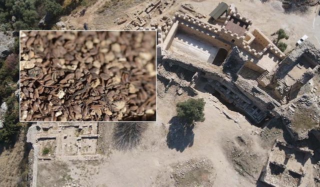 Beçin Antik Kenti'ndeki kazılarda 700 yıllık olduğu değerlendirilen darı tohumları bulundu