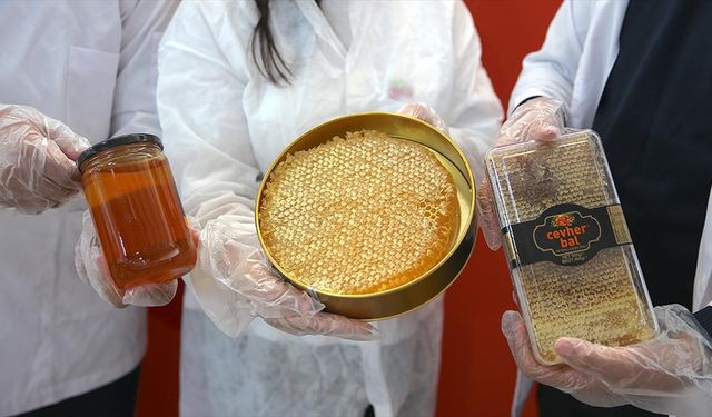 Devlet desteğiyle bal tesisi kurdu, 20 kişiye iş imkanı sağladı