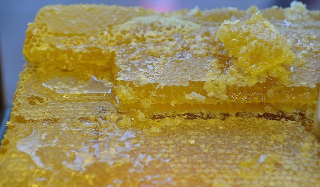 Doğu Karadeniz'in 9 aylık bal ihracatı 1,7 milyon doları aştı