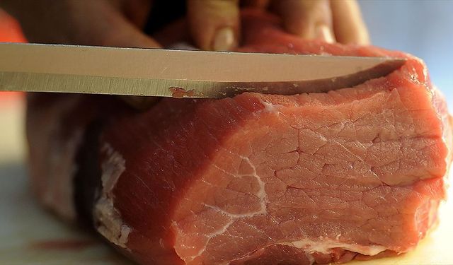 E. Coli bakterisi taşıyan et ürünlerinin idrar yolu enfeksiyonlarına neden olabileceği belirtildi