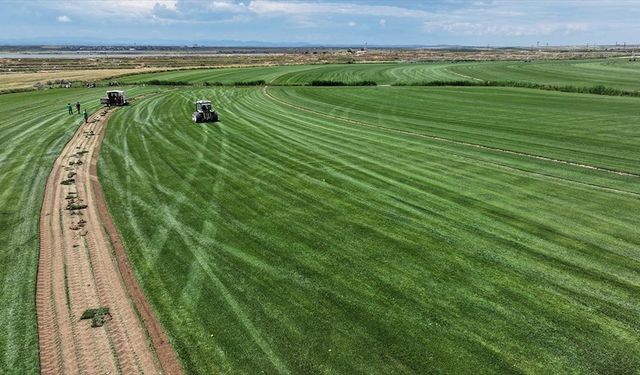 Edirne'de köyden kente göçü tersine çeviren tesis üretim ve ihracatta büyüdü