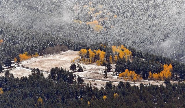 Kar ve sonbahar renklerinin bütünleştiği Sarıkamış'ta güzel manzaralar oluştu