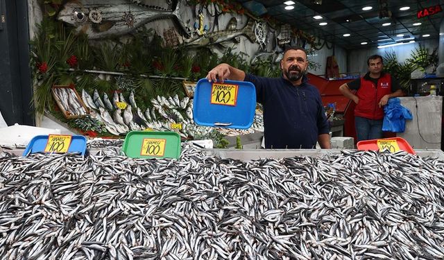 Karadeniz'de hamsi bolluğu tezgahlara yansıdı