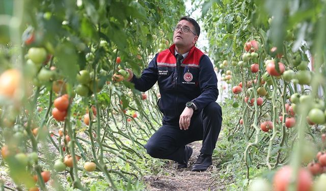 Kars'ta ziraat mühendislerinin oluşturduğu sera vatandaşlara ilham oldu