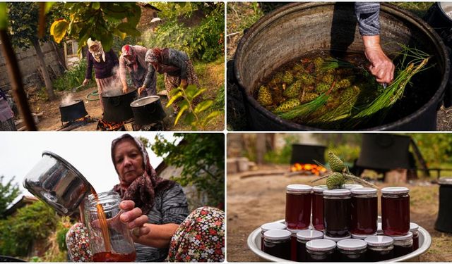 Kozak Yaylası'nda kadınlar çam kozalağı pekmezini imece usulü hazırlıyor