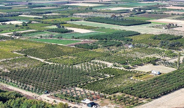 Kuraklığın etkili olduğu Ege'de çiftçiler ekim yağmurlarıyla nefes aldı