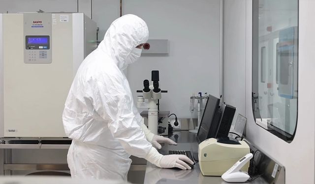 Nörolojik hastalıklarda kök hücre tedavisi standart değil, deneysel aşamada