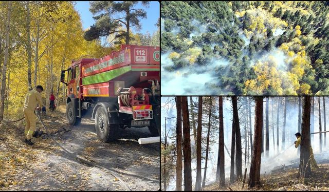 Sarıkamış'ta çıkan orman yangınında yaklaşık 1,5 hektar alan zarar gördü