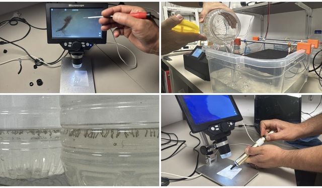 Türk bilim insanı sivrisinekle mücadelede ekolojik dengeye zarar vermeyen cihaz geliştirdi