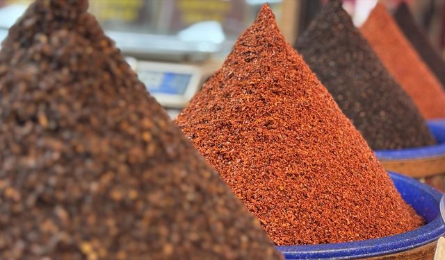 Türkiye'den pul biber ihracatı yılın 9 ayında yüzde 4 arttı