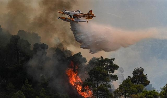 Yapay zeka orman yangınlarına müdahaleye hız kazandırdı