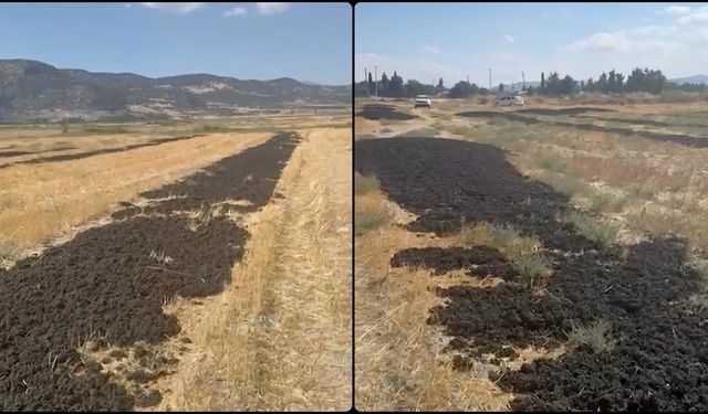 Antalya'da arıtma tesisinden çıkan çamuru Burdur'da boş araziye döken firmaya 48,6 milyon lira ceza