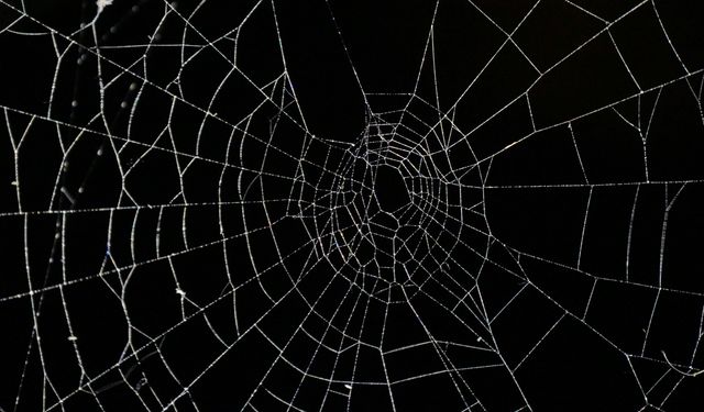 Arnavutluk-Yunanistan sınırında bir mağarada 'dünyanın en büyük örümcek ağı' bulundu