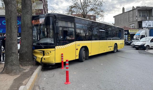 Bağcılar'da İETT otobüsü ağaca çarptı