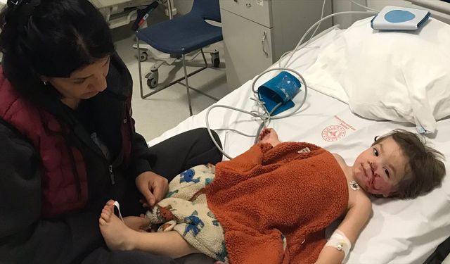 Başkentte pitbull cinsi köpeğin saldırısına uğrayan 2 çocuk yaralandı