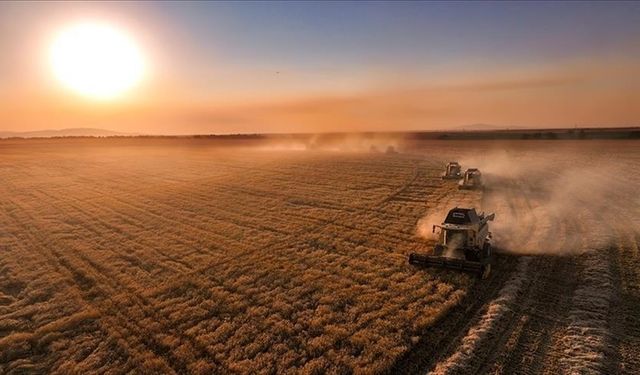 Çiftçilere 711 milyon 848 bin lira tarımsal destek ödemesi bugün yapılacak