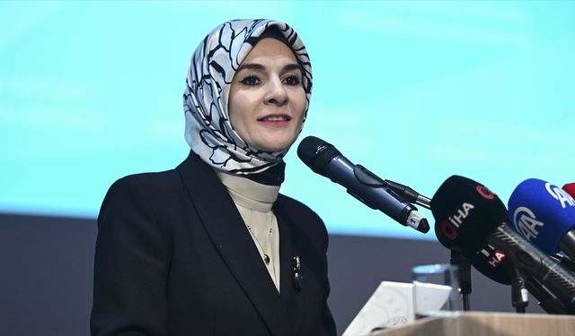 Kadına Yönelik Şiddetle Mücadele V. Ulusal Eylem Planı 25 Kasım'da açıklanacak