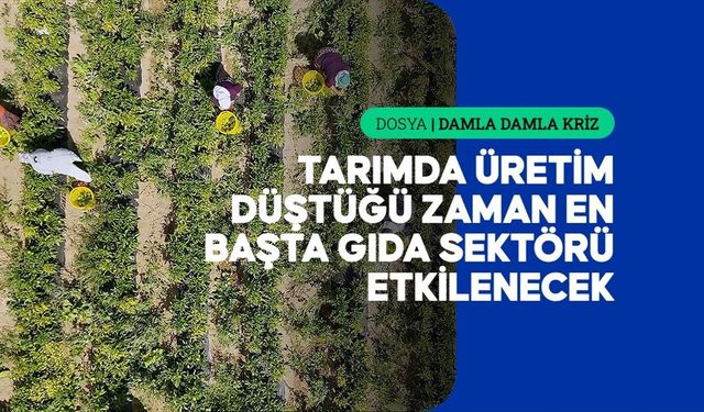 Kuraklığın etkileri tarladan fabrikaya, fabrikadan sofraya uzanıyor