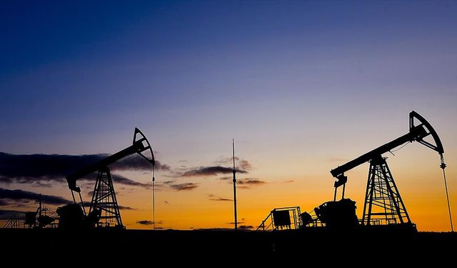 Petrol devlerinin karı ocak-eylül döneminde yüzde 14 azaldı