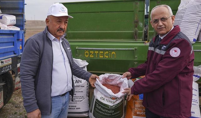 Çankırı'da çiftçiler 800 hektarda kuraklığa dayanıklı sertifikalı tohum deniyor