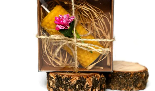 Muratpaşa'dan bal mumu atölyesi