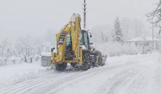 Ordu'da kar seferberliği! 472 mahalle yolu açıldı