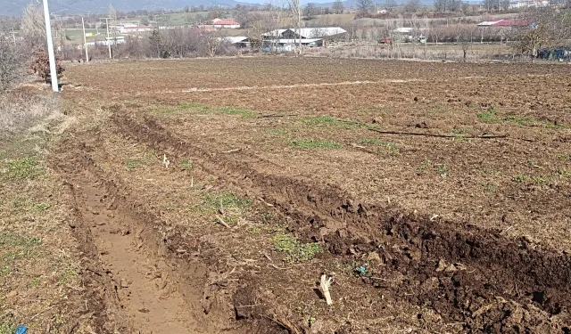 Pazaryeri'nde 'yüksek gerilim' tarım arazilerini zora soktu!