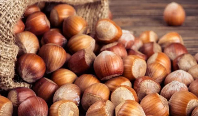 TMO'dan 'kabuklu fındık' açıklaması: Satışımız ve hazırlığımız bulunmamaktadır