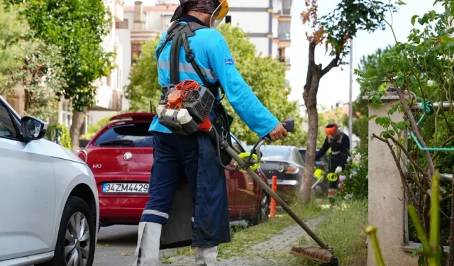 İstanbul Maltepe'den çevre düzenlemelerine devam