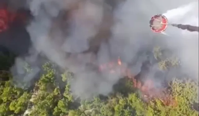 Muğla'da başlayıp Kaş'a sıçradı! Müdahale sürüyor