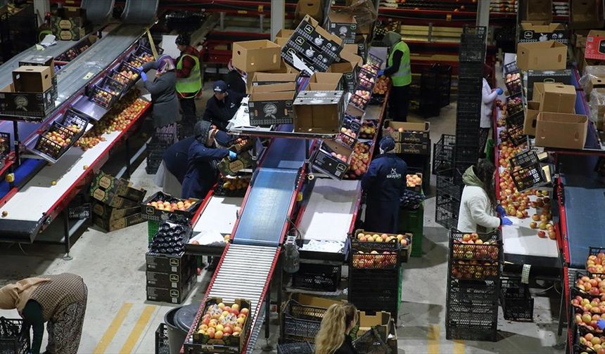Çorum'da mühendis ailenin TKDK destekleriyle kurduğu fabrikalardan 25 ülkeye ihracat yapılıyor