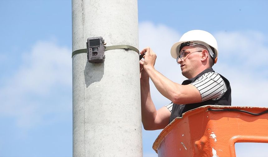 Fotokapanlı denetimle çevreyi kirletenlere geçit verilmiyor