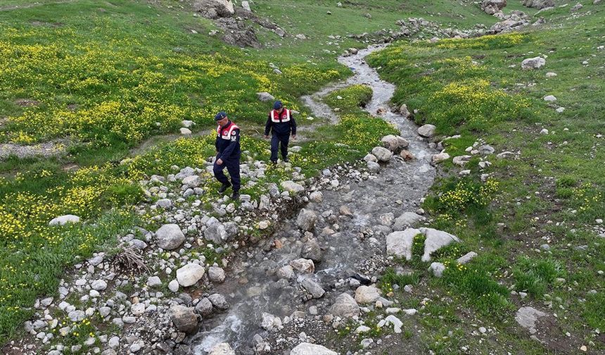 Jandarma ekipleri endemik bitkilerin korunması için görevde