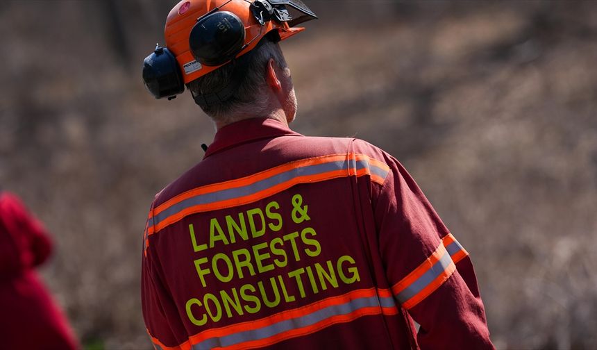 Kanada'nın Manitoba eyaletinde orman yangınları nedeniyle olağanüstü hal ilan edildi
