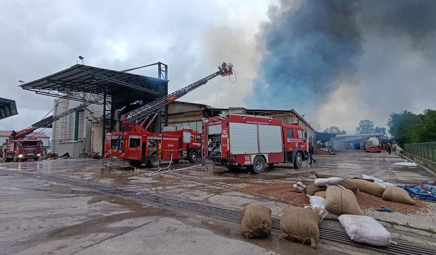 Sakarya'da fındık kırım fabrikasında çıkan yangına müdahale ediliyor