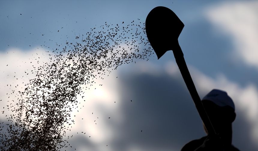 Tohum sektöründe AR-GE faaliyetlerine desteklerin yerliliği artırması bekleniyor