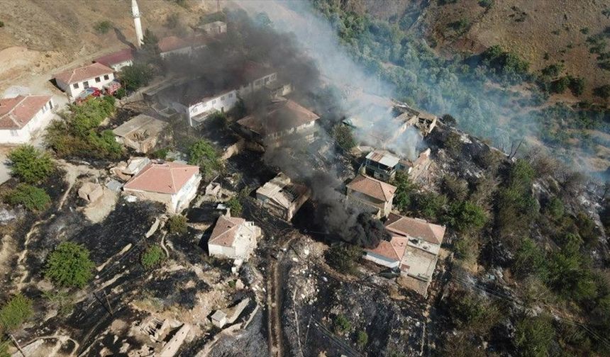 Malatya'da otluk alanda çıkan yangın evlere sıçradı