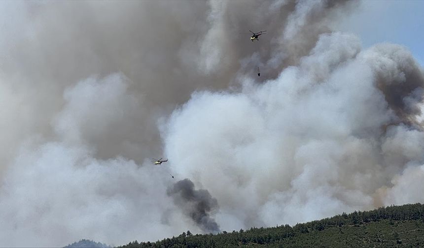Orman yangınlarına havadan ve karadan müdahale ediliyor