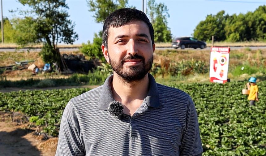 Otomasyon mühendisi, babasına yardım amacıyla başladığı çiftçilikte organik çilek üretiyor