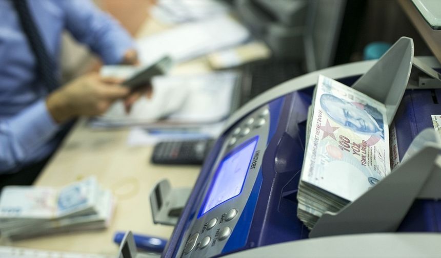 Reel efektif döviz kuru endeksi mayısta 71,11 oldu