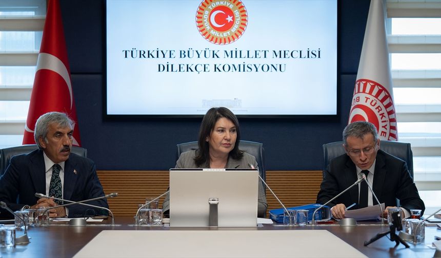 TBMM Dilekçe Komisyonu vatandaşların derdine çare oluyor