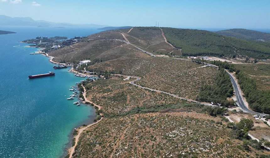 Bodrum Güvercinlik'te 4 yıl önce yanan alanlar dikilen fidanlarla yeşeriyor