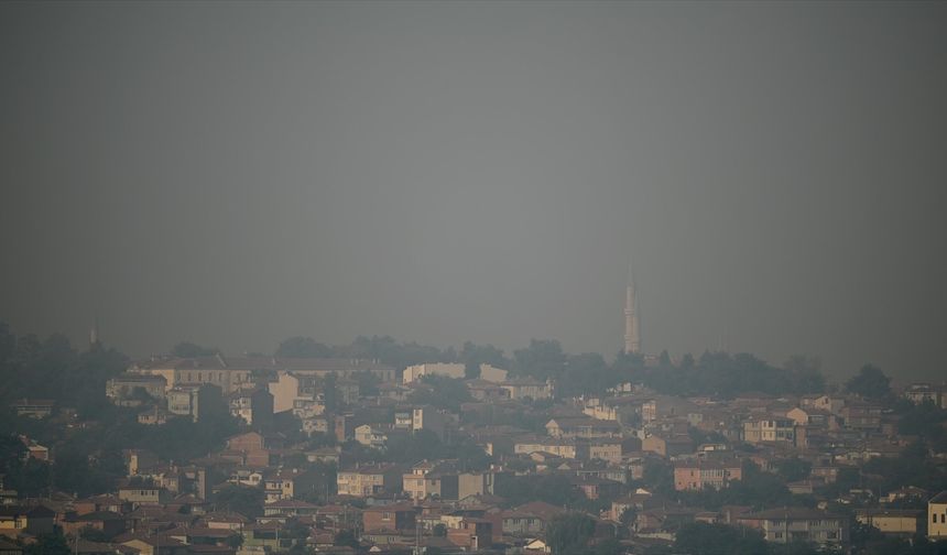 Bulgaristan'daki orman yangınının koku ve dumanı 50 kilometre uzaklıktaki Edirne'ye ulaştı